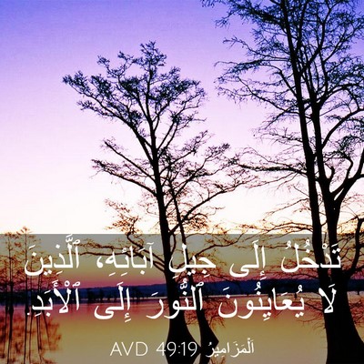 Picture 03 - اَلْمَزَامِيرُ 49:19 AVD - تَدْخُلُ إِلَى جِيلِ - Bible Verse Picture