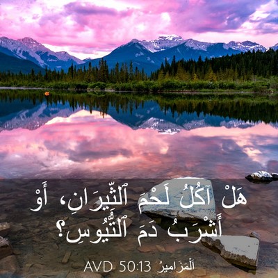 Picture 03 - اَلْمَزَامِيرُ 50:13 AVD - هَلْ آكُلُ لَحْمَ - Bible Verse Picture
