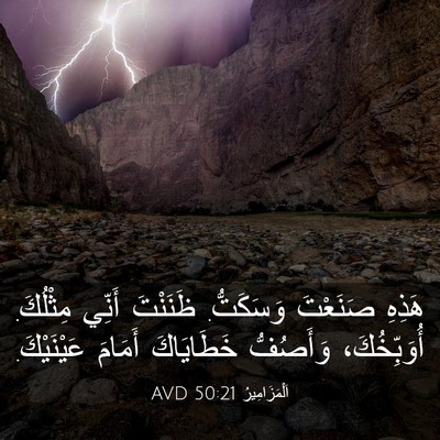 Picture 03 - اَلْمَزَامِيرُ 50:21 AVD - هَذِهِ صَنَعْتَ وَسَكَتُّ. - Bible Verse Picture