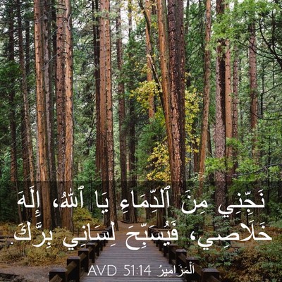 Picture 03 - اَلْمَزَامِيرُ 51:14 AVD - نَجِّنِي مِنَ ٱلدِّمَاءِ - Bible Verse Picture