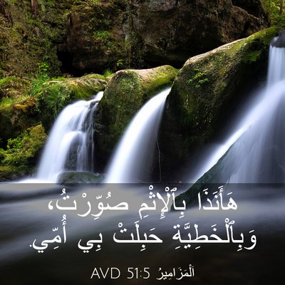 Picture 03 - اَلْمَزَامِيرُ 51:5 AVD - هَأَنَذَا بِٱلْإِثْمِ - Bible Verse Picture