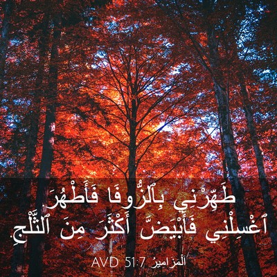 Picture 03 - اَلْمَزَامِيرُ 51:7 AVD - طَهِّرْنِي بِٱلزُّوفَا - Bible Verse Picture