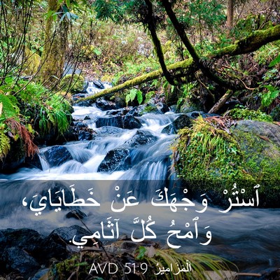 Picture 03 - اَلْمَزَامِيرُ 51:9 AVD - ٱسْتُرْ وَجْهَكَ عَنْ - Bible Verse Picture