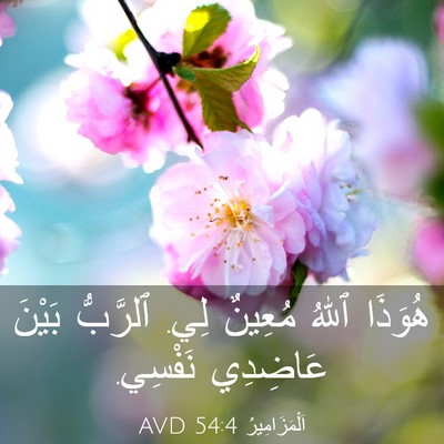 Picture 03 - اَلْمَزَامِيرُ 54:4 AVD - هُوَذَا ٱللهُ مُعِينٌ لِي. - Bible Verse Picture