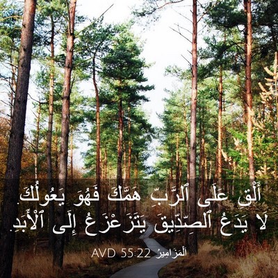 Picture 03 - اَلْمَزَامِيرُ 55:22 AVD - أَلْقِ عَلَى ٱلرَّبِّ - Bible Verse Picture