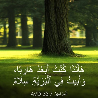 Picture 03 - اَلْمَزَامِيرُ 55:7 AVD - هَأَنَذَا كُنْتُ أَبْعُدُ - Bible Verse Picture
