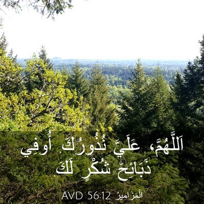 Picture 03 - اَلْمَزَامِيرُ 56:12 AVD - اَللَّهُمَّ، عَلَيَّ - Bible Verse Picture