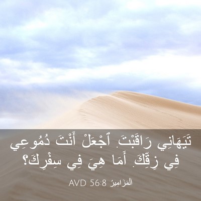 Picture 03 - اَلْمَزَامِيرُ 56:8 AVD - تَيَهَانِي رَاقَبْتَ. - Bible Verse Picture