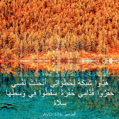 Picture 03 - اَلْمَزَامِيرُ 57:6 AVD - هَيَّأُوا شَبَكَةً - Bible Verse Picture