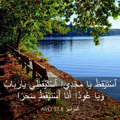 Picture 03 - اَلْمَزَامِيرُ 57:8 AVD - ٱسْتَيْقِظْ يَا مَجْدِي! - Bible Verse Picture