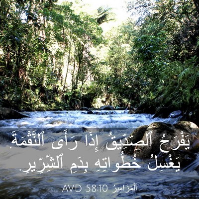 Picture 03 - اَلْمَزَامِيرُ 58:10 AVD - يَفْرَحُ ٱلصِّدِّيقُ - Bible Verse Picture