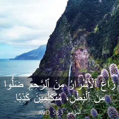 Picture 03 - اَلْمَزَامِيرُ 58:3 AVD - زَاغَ ٱلْأَشْرَارُ مِنَ - Bible Verse Picture