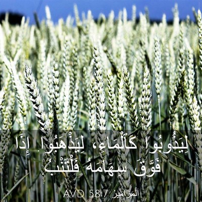 Picture 03 - اَلْمَزَامِيرُ 58:7 AVD - لِيَذُوبُوا كَٱلْمَاءِ، - Bible Verse Picture