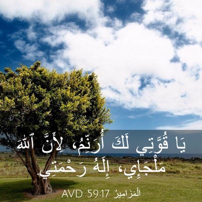 Picture 03 - اَلْمَزَامِيرُ 59:17 AVD - يَا قُوَّتِي لَكَ - Bible Verse Picture