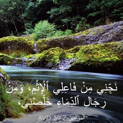 Picture 03 - اَلْمَزَامِيرُ 59:2 AVD - نَجِّنِي مِنْ فَاعِلِي - Bible Verse Picture