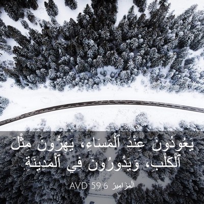 Picture 03 - اَلْمَزَامِيرُ 59:6 AVD - يَعُودُونَ عِنْدَ - Bible Verse Picture