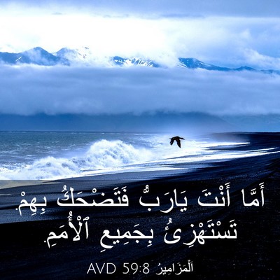 Picture 03 - اَلْمَزَامِيرُ 59:8 AVD - أَمَّا أَنْتَ يَارَبُّ - Bible Verse Picture