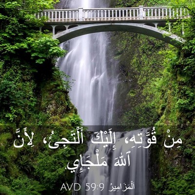 Picture 03 - اَلْمَزَامِيرُ 59:9 AVD - مِنْ قُوَّتِهِ، إِلَيْكَ - Bible Verse Picture
