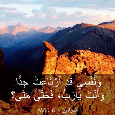 Picture 03 - اَلْمَزَامِيرُ 6:3 AVD - وَنَفْسِي قَدِ ٱرْتَاعَتْ - Bible Verse Picture