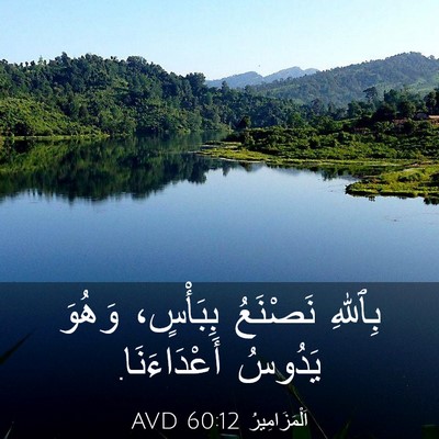 Picture 03 - اَلْمَزَامِيرُ 60:12 AVD - بِٱللهِ نَصْنَعُ - Bible Verse Picture