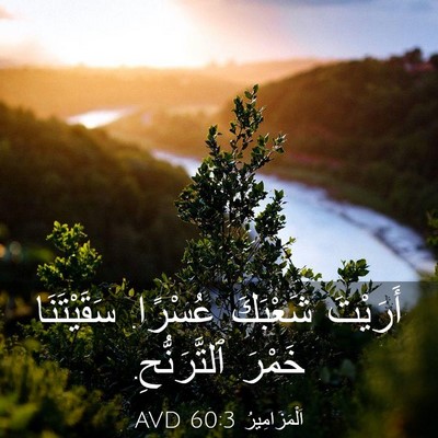 Picture 03 - اَلْمَزَامِيرُ 60:3 AVD - أَرَيْتَ شَعْبَكَ عُسْرًا. - Bible Verse Picture