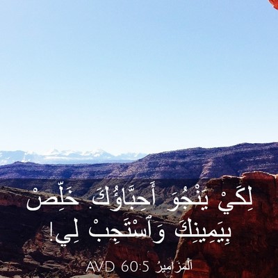Picture 03 - اَلْمَزَامِيرُ 60:5 AVD - لِكَيْ يَنْجُوَ - Bible Verse Picture