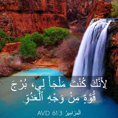 Picture 03 - اَلْمَزَامِيرُ 61:3 AVD - لِأَنَّكَ كُنْتَ مَلْجَأً - Bible Verse Picture