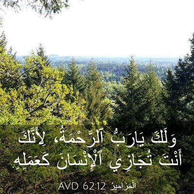 Picture 03 - اَلْمَزَامِيرُ 62:12 AVD - وَلَكَ يَارَبُّ - Bible Verse Picture