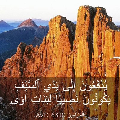 Picture 03 - اَلْمَزَامِيرُ 63:10 AVD - يُدْفَعُونَ إِلَى يَدَيِ - Bible Verse Picture