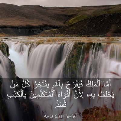 Picture 03 - اَلْمَزَامِيرُ 63:11 AVD - أَمَّا ٱلْمَلِكُ - Bible Verse Picture