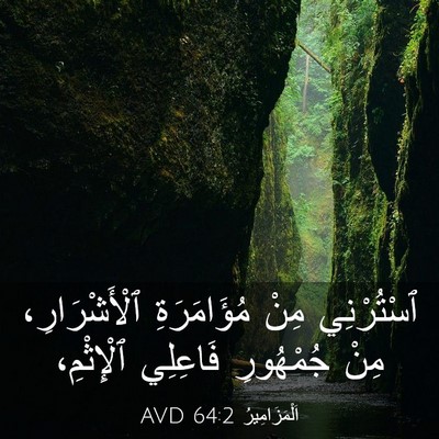 Picture 03 - اَلْمَزَامِيرُ 64:2 AVD - ٱسْتُرْنِي مِنْ - Bible Verse Picture