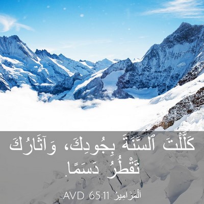 Picture 03 - اَلْمَزَامِيرُ 65:11 AVD - كَلَّلْتَ ٱلسَّنَةَ - Bible Verse Picture