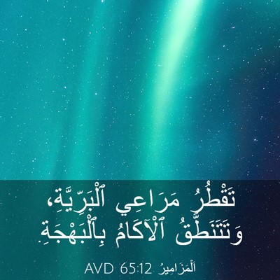 Picture 03 - اَلْمَزَامِيرُ 65:12 AVD - تَقْطُرُ مَرَاعِي - Bible Verse Picture