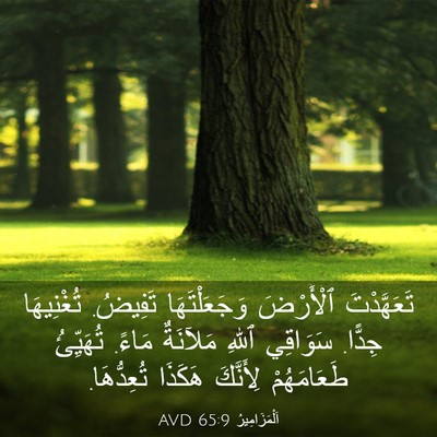 Picture 03 - اَلْمَزَامِيرُ 65:9 AVD - تَعَهَّدْتَ ٱلْأَرْضَ - Bible Verse Picture
