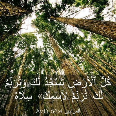 Picture 03 - اَلْمَزَامِيرُ 66:4 AVD - كُلُّ ٱلْأَرْضِ تَسْجُدُ - Bible Verse Picture