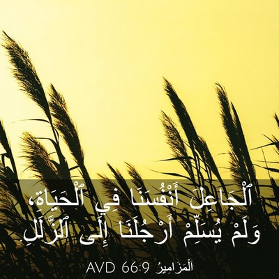 Picture 03 - اَلْمَزَامِيرُ 66:9 AVD - ٱلْجَاعِلَ أَنْفُسَنَا - Bible Verse Picture