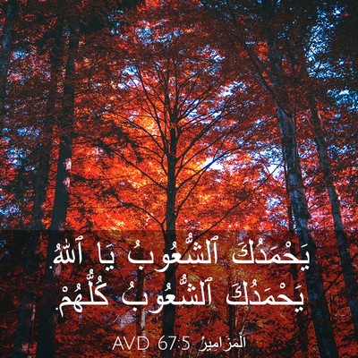 Picture 03 - اَلْمَزَامِيرُ 67:5 AVD - يَحْمَدُكَ ٱلشُّعُوبُ يَا - Bible Verse Picture