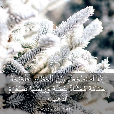 Picture 03 - اَلْمَزَامِيرُ 68:13 AVD - إِذَا ٱضْطَجَعْتُمْ - Bible Verse Picture