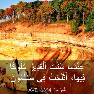 Picture 03 - اَلْمَزَامِيرُ 68:14 AVD - عِنْدَمَا شَتَّتَ - Bible Verse Picture