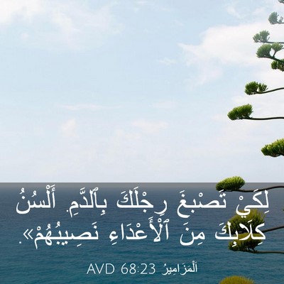 Picture 03 - اَلْمَزَامِيرُ 68:23 AVD - لِكَيْ تَصْبغَ رِجْلَكَ - Bible Verse Picture