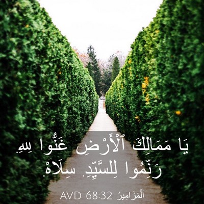 Picture 03 - اَلْمَزَامِيرُ 68:32 AVD - يَا مَمَالِكَ ٱلْأَرْضِ - Bible Verse Picture