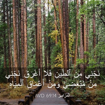 Picture 03 - اَلْمَزَامِيرُ 69:14 AVD - نَجِّنِي مِنَ ٱلطِّينِ - Bible Verse Picture