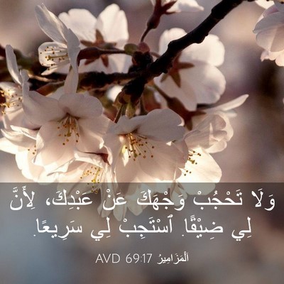 Picture 03 - اَلْمَزَامِيرُ 69:17 AVD - وَلَا تَحْجُبْ وَجْهَكَ - Bible Verse Picture