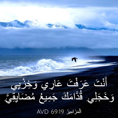 Picture 03 - اَلْمَزَامِيرُ 69:19 AVD - أَنْتَ عَرَفْتَ عَارِي - Bible Verse Picture