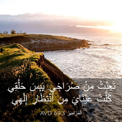 Picture 03 - اَلْمَزَامِيرُ 69:3 AVD - تَعِبْتُ مِنْ صُرَاخِي. - Bible Verse Picture