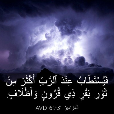 Picture 03 - اَلْمَزَامِيرُ 69:31 AVD - فَيُسْتَطَابُ عِنْدَ - Bible Verse Picture