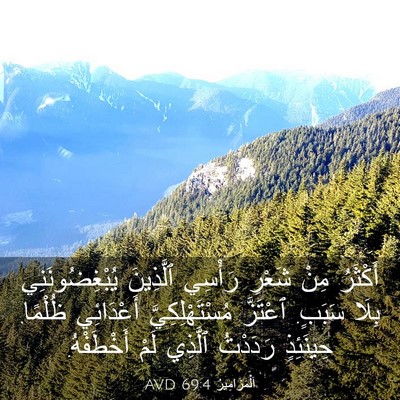 Picture 03 - اَلْمَزَامِيرُ 69:4 AVD - أَكْثَرُ مِنْ شَعْرِ - Bible Verse Picture