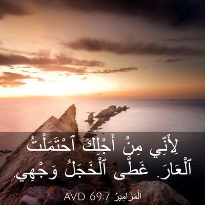 Picture 03 - اَلْمَزَامِيرُ 69:7 AVD - لِأَنِّي مِنْ أَجْلِكَ - Bible Verse Picture