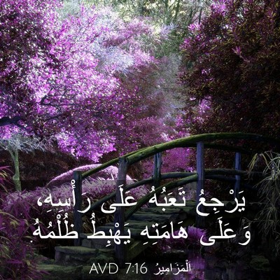 Picture 03 - اَلْمَزَامِيرُ 7:16 AVD - يَرْجِعُ تَعَبُهُ عَلَى - Bible Verse Picture