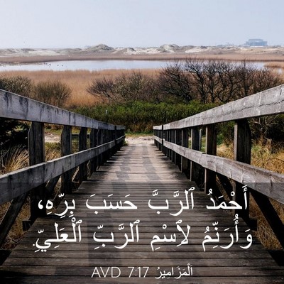 Picture 03 - اَلْمَزَامِيرُ 7:17 AVD - أَحْمَدُ ٱلرَّبَّ حَسَبَ - Bible Verse Picture
